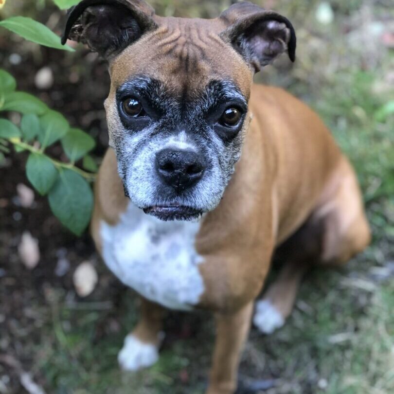 Lumen,
Studio Supervisor